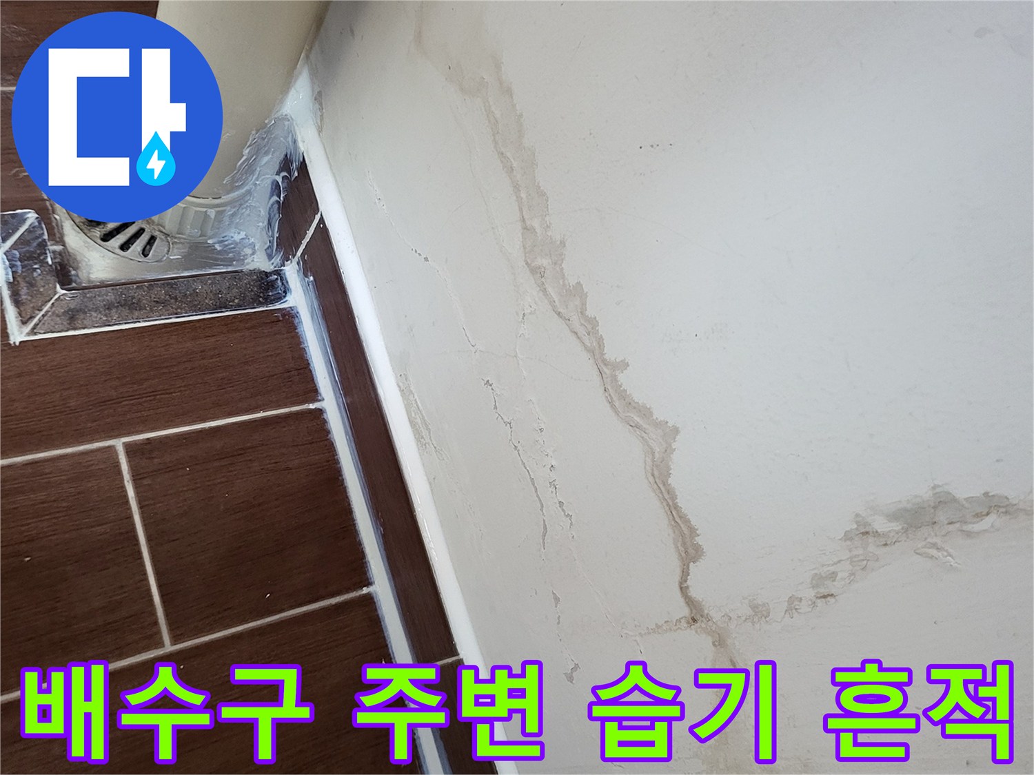 세탁실-배수구-연결부위-벽면-얼룩-현황