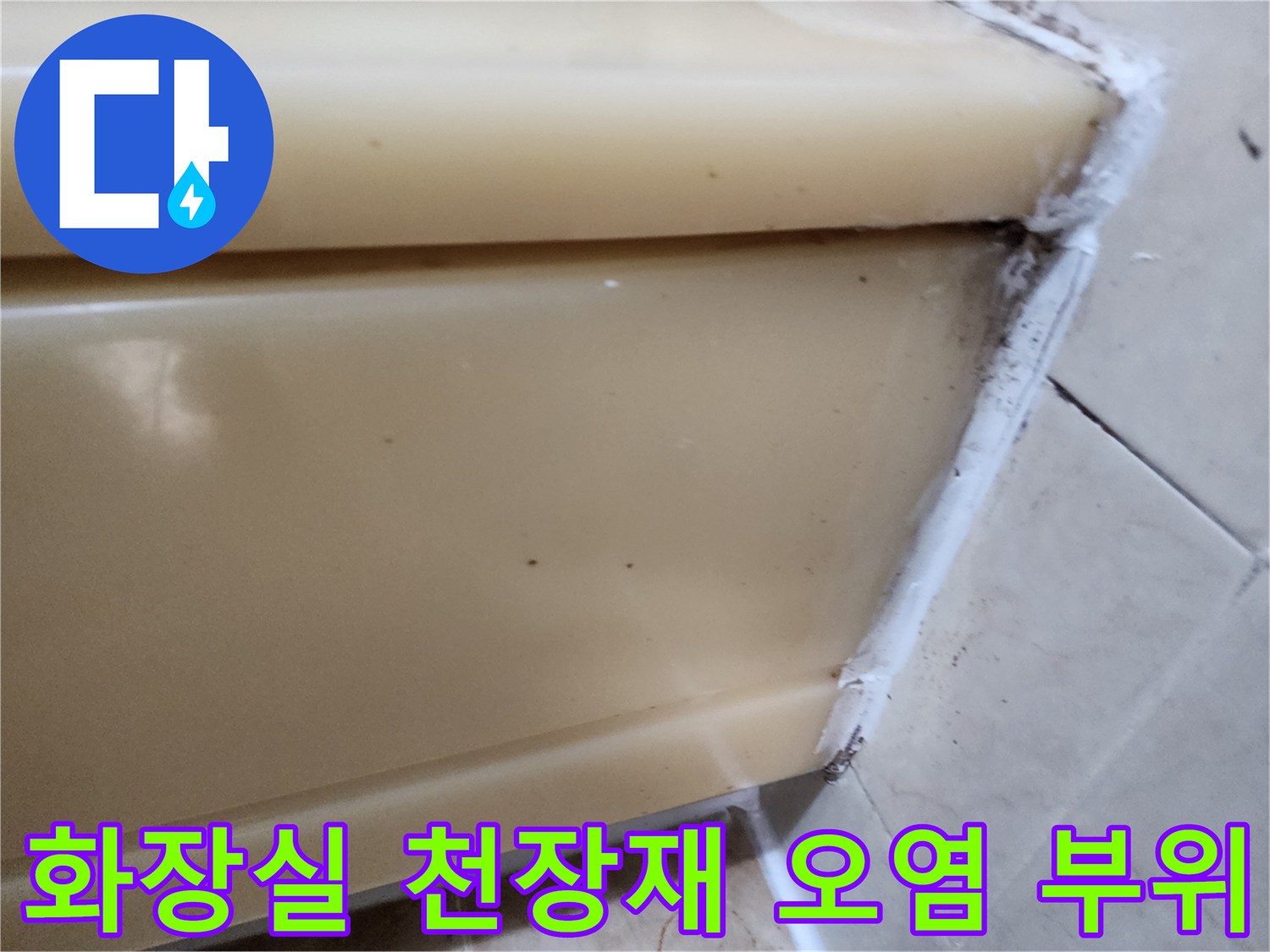 천장 패널 가장자리의 갈색 누수 흔적