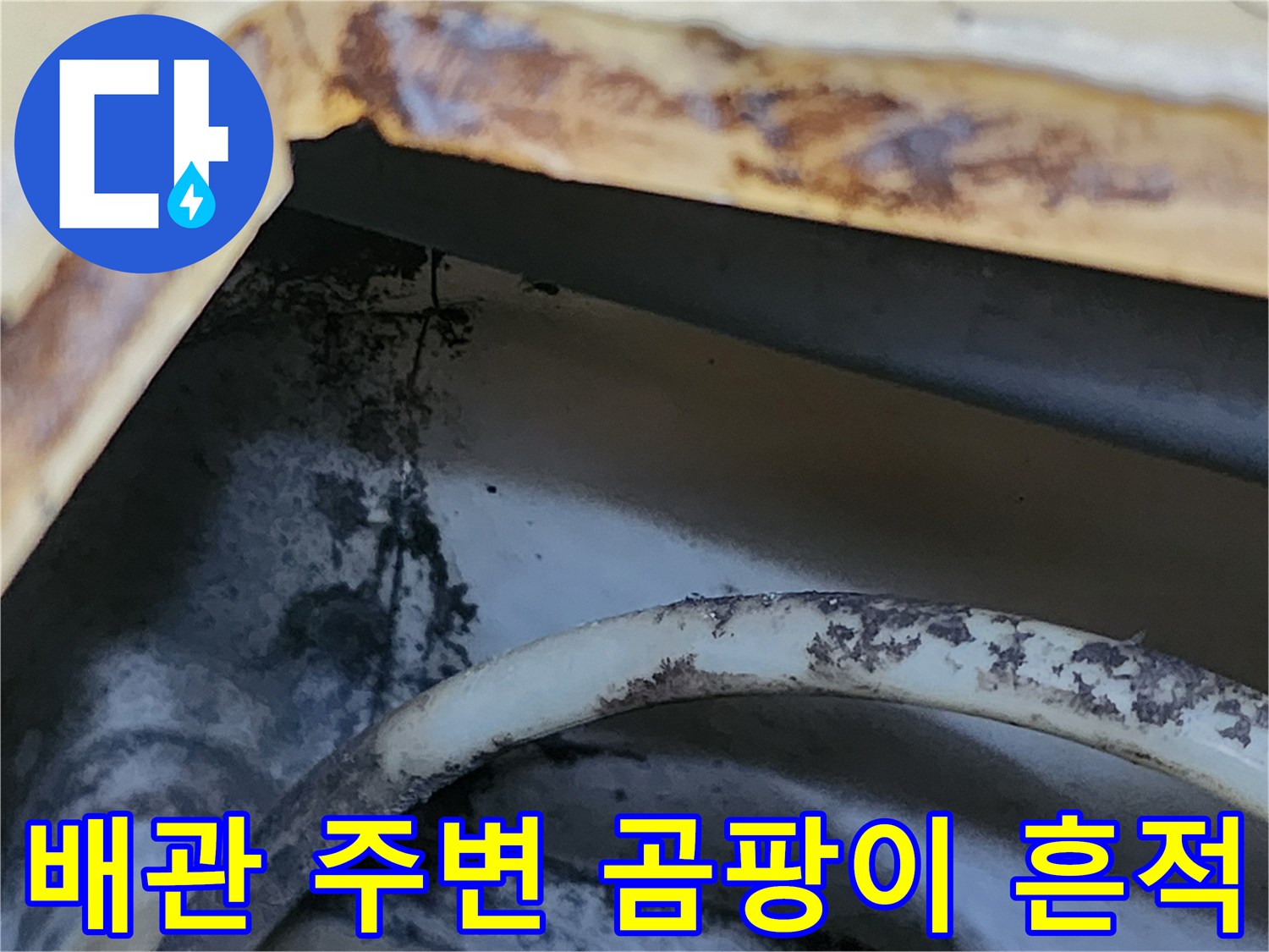 화장실 천장재 사이의 갈색 물자국과 검은색 오염물 분포