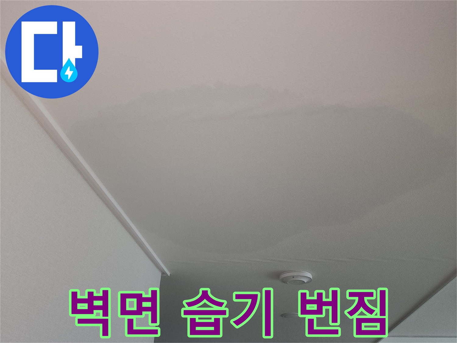 고양시-아파트-벽지-물번짐-현상