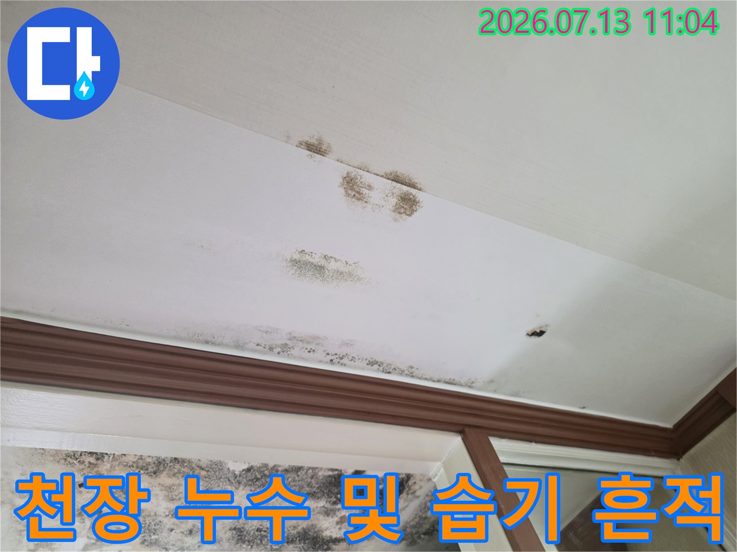 아래층 천장 마감재에 나타난 곰팡이와 수분 얼룩