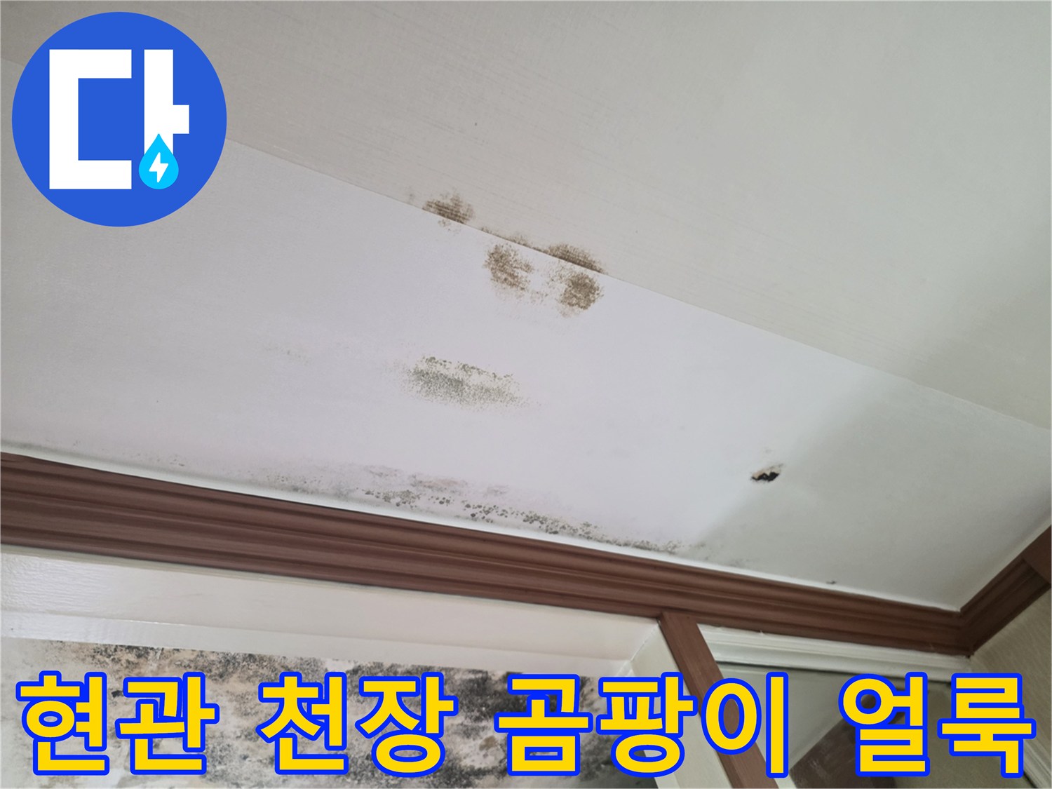 은평구 아파트 현관 천장에 발생한 곰팡이와 습기 흔적