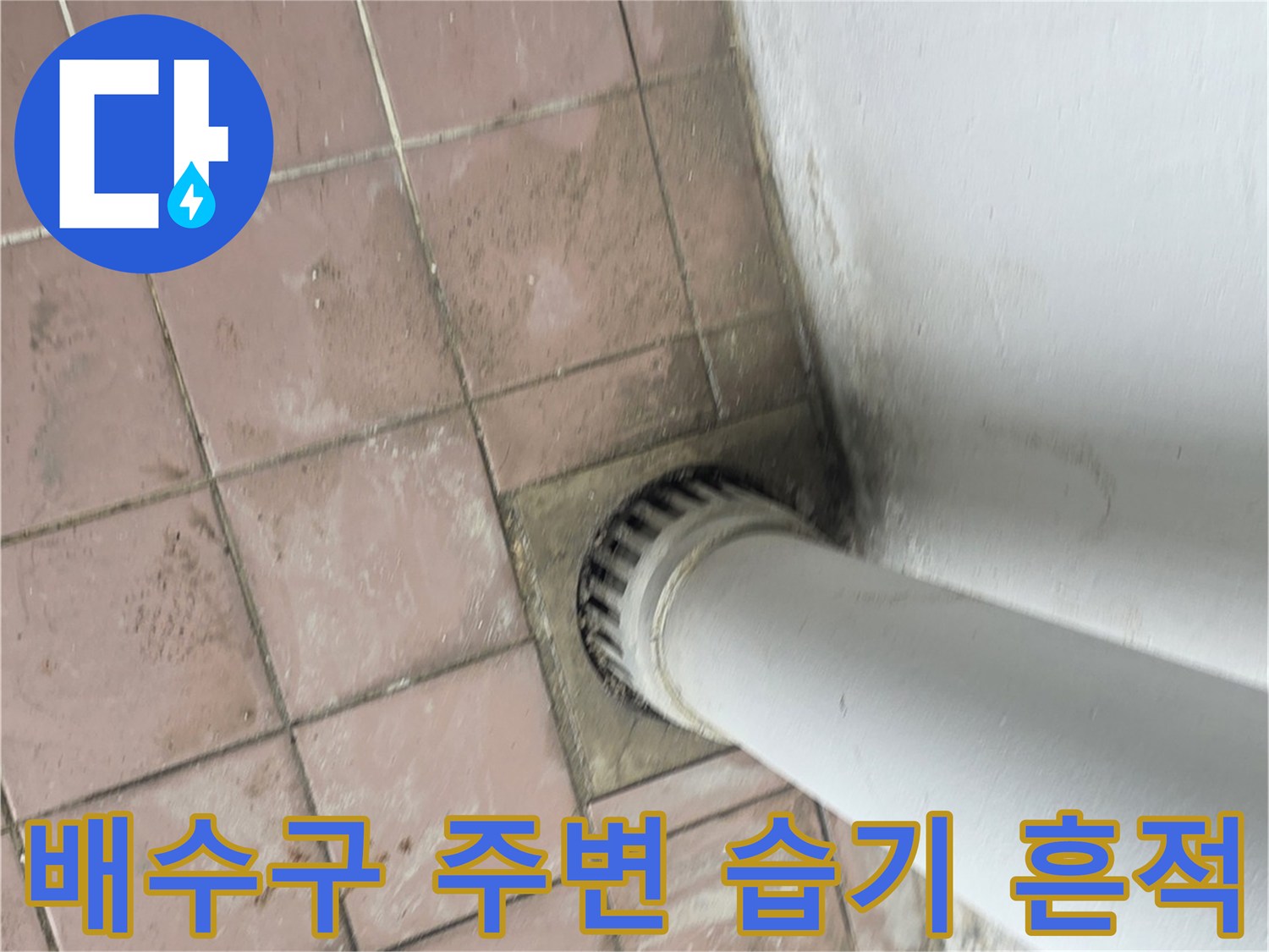 세탁실 하수관 연결부-타일 사이의 오염된 상태