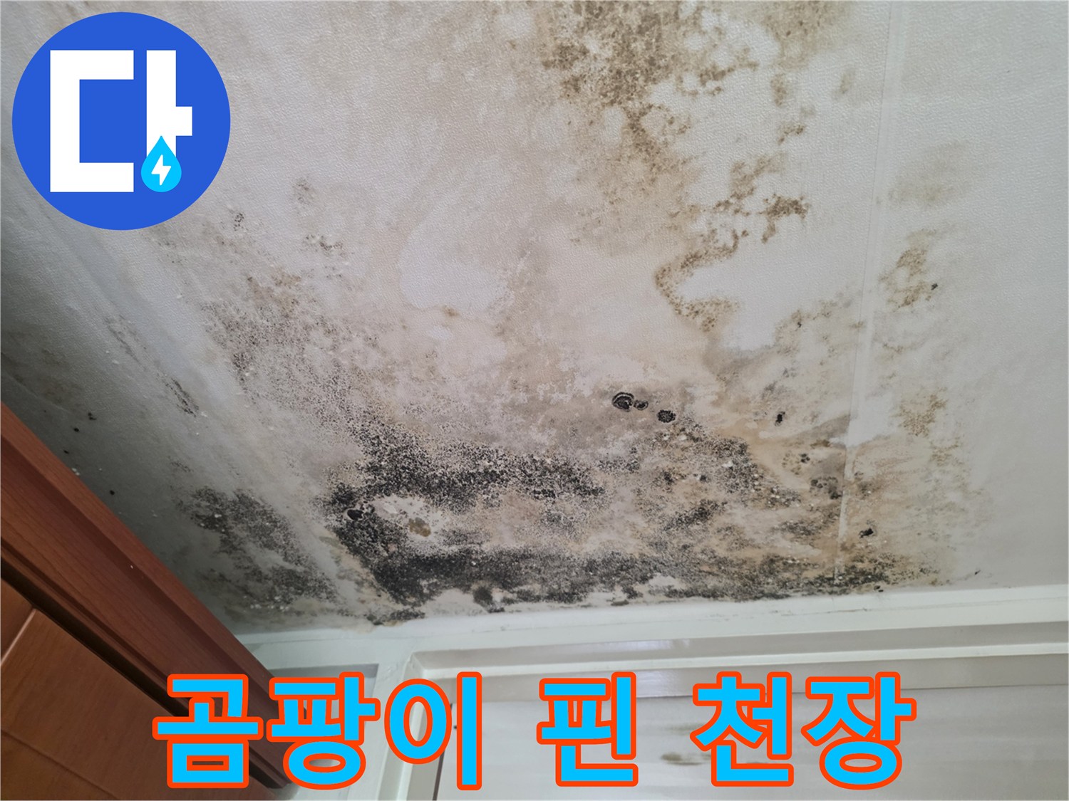 심각하게 오염된 천장 벽지와 물 얼룩 흔적