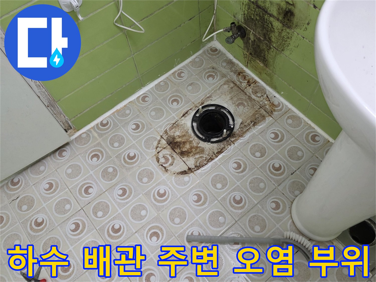 탈거된 배관 입구 주변의 곰팡이와 타일 변색 현황