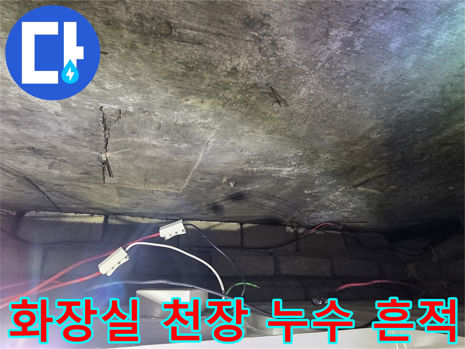 광주 신현동 화장실 천장면의 물 얼룩과 곰팡이 상태