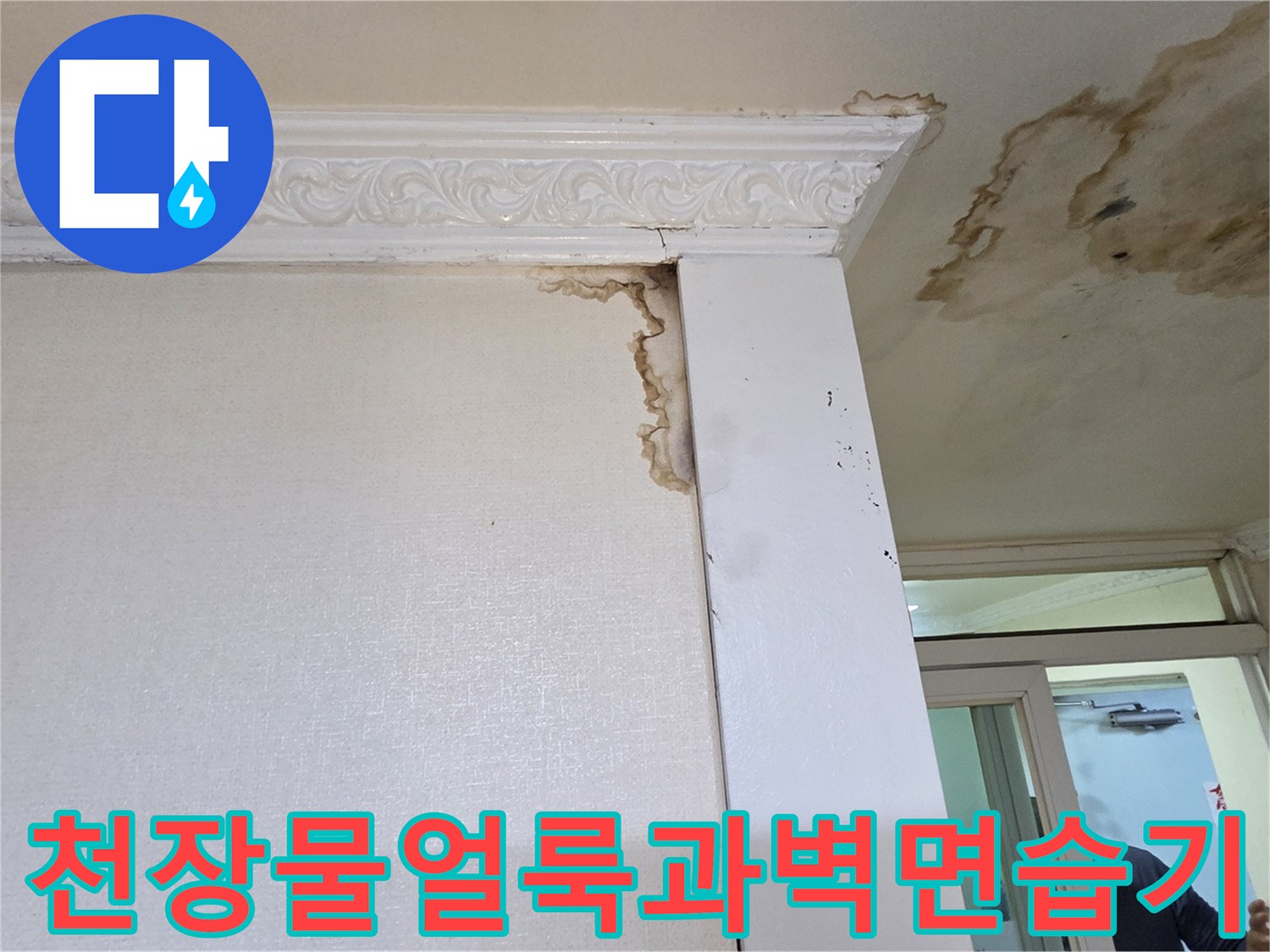 화장실-천장-가장자리-물얼룩-및-벽면-곰팡이-흔적