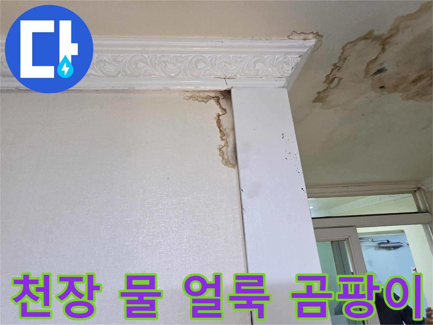 화장실-천장과-벽면의-심한-물얼룩-및-곰팡이-상태
