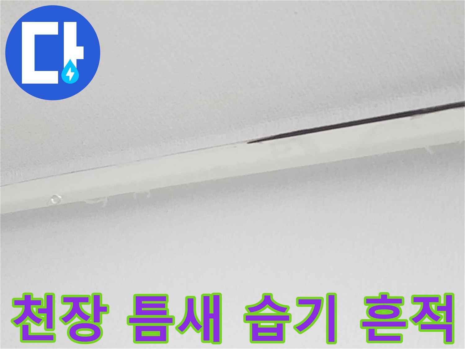 천장 마감재 사이의 어두운 얼룩 - 누수 의심 부위