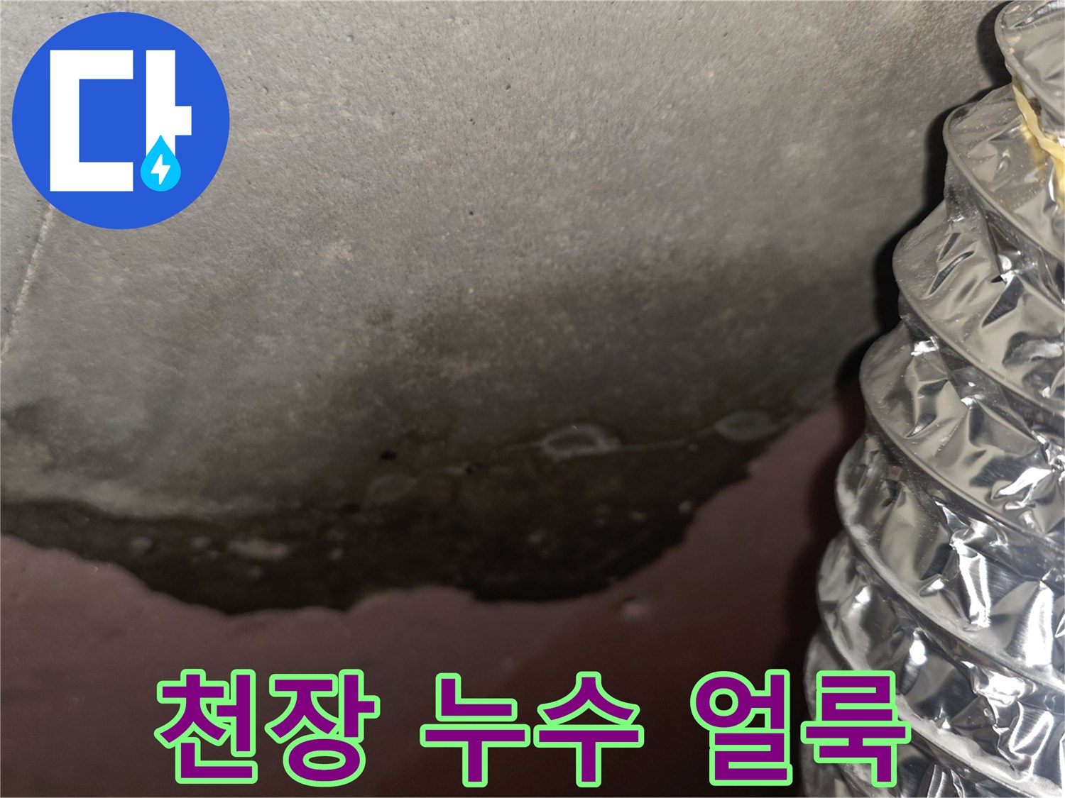 답십리동-아파트-천장-누수-흔적-및-곰팡이-발생-상태