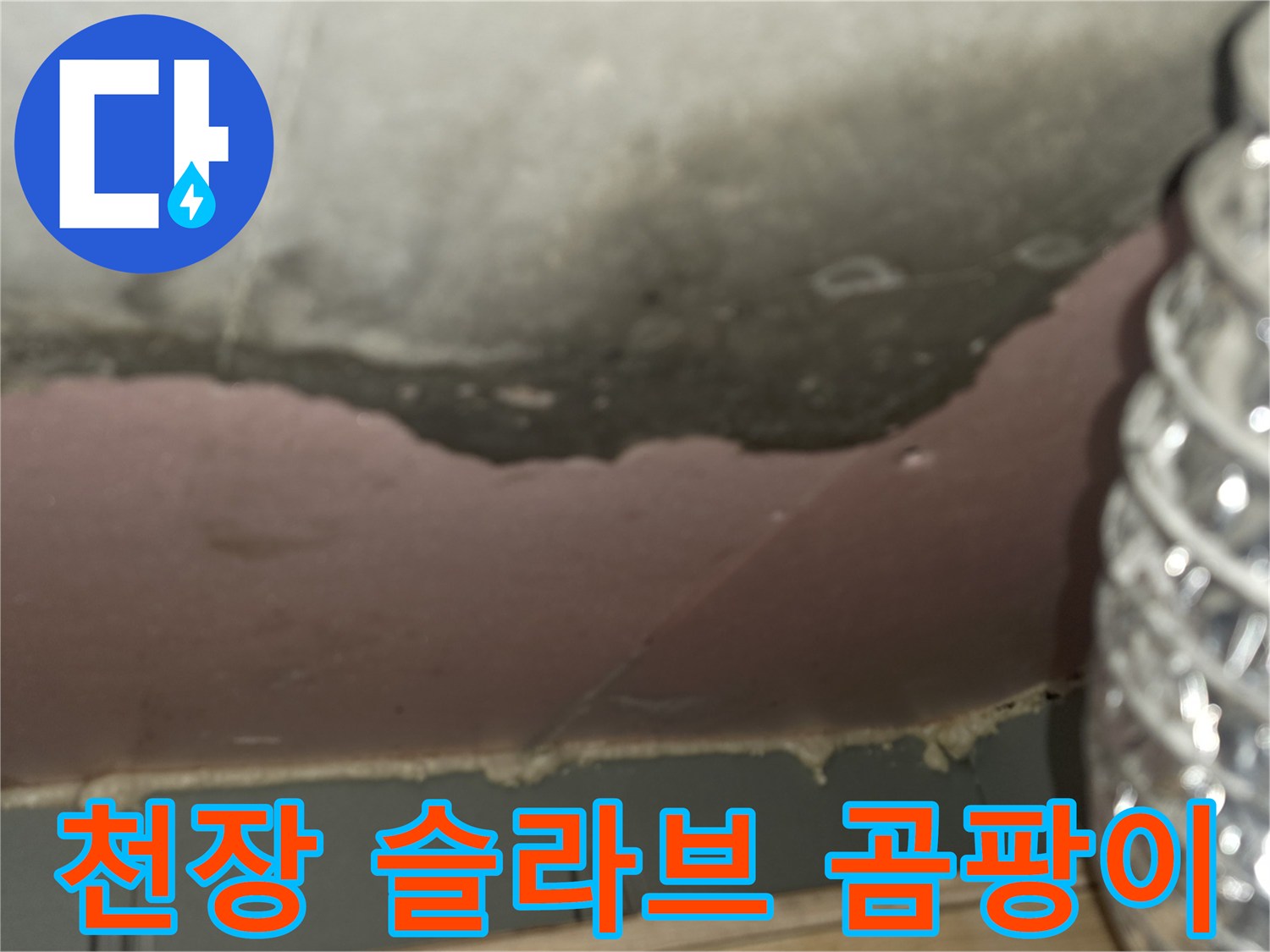습기로-인해-발생한-천장-슬라브-곰팡이