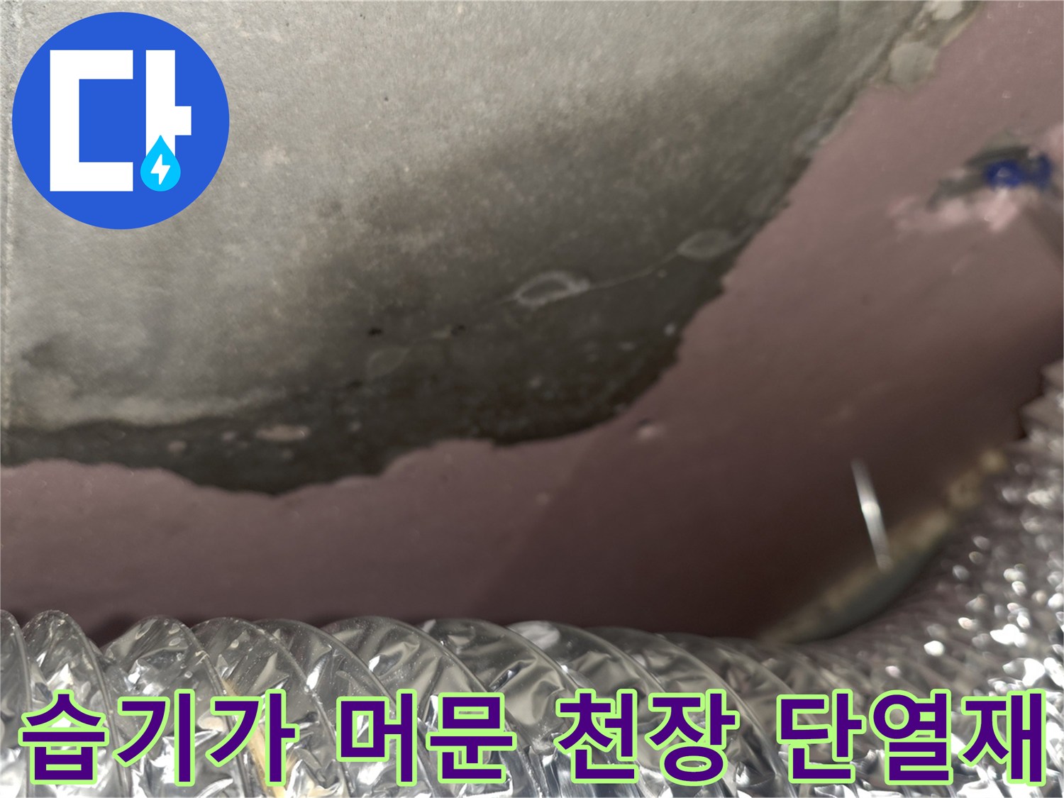 천장-단열재-곰팡이-및-오염-상태