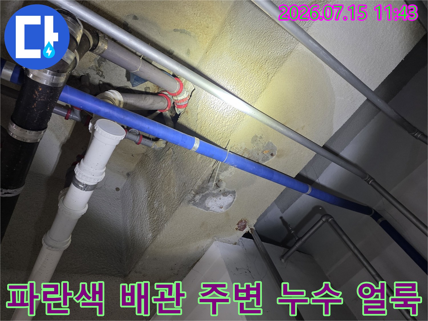 천장에 설치된 청색 및 백색 플라스틱 배관과 그 주변의 노란색 물 번짐 현상