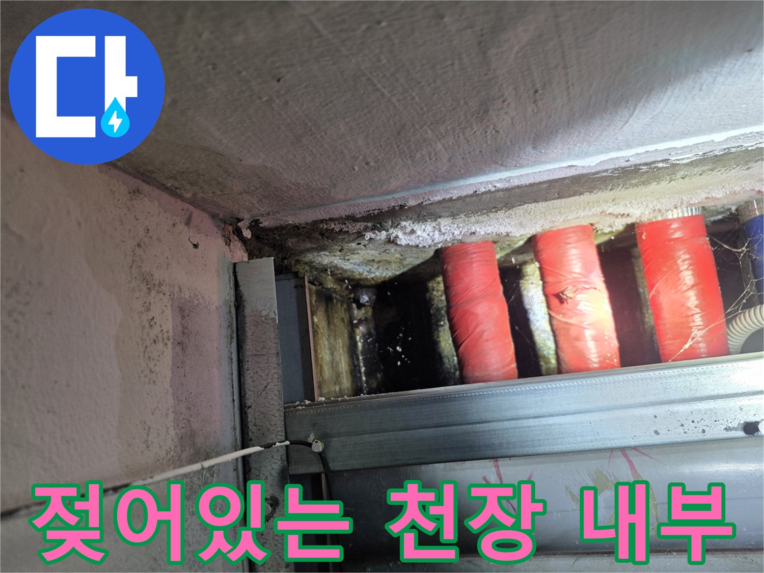 식당 지하층-배관 주변의 젖은 마감재 상태