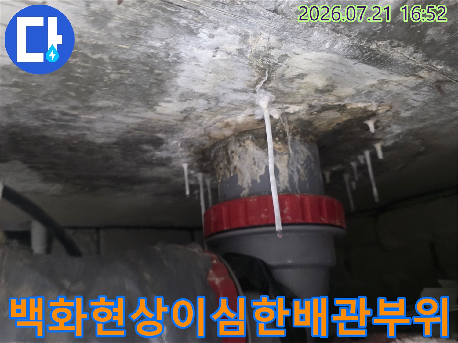배관 주변에 형성된 백화 현상과 누수로 인한 젖음 상태의 천장 모습