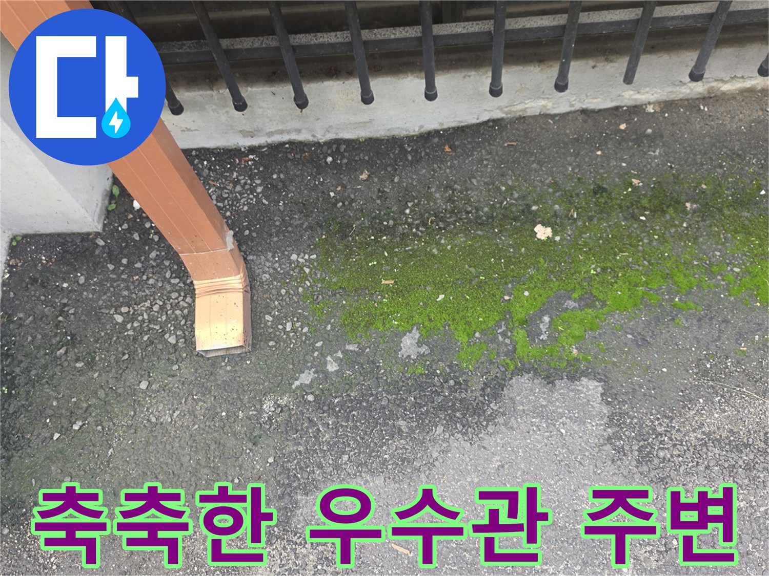 물기가-남아있는-우수관-끝단과-이끼-낀-바닥