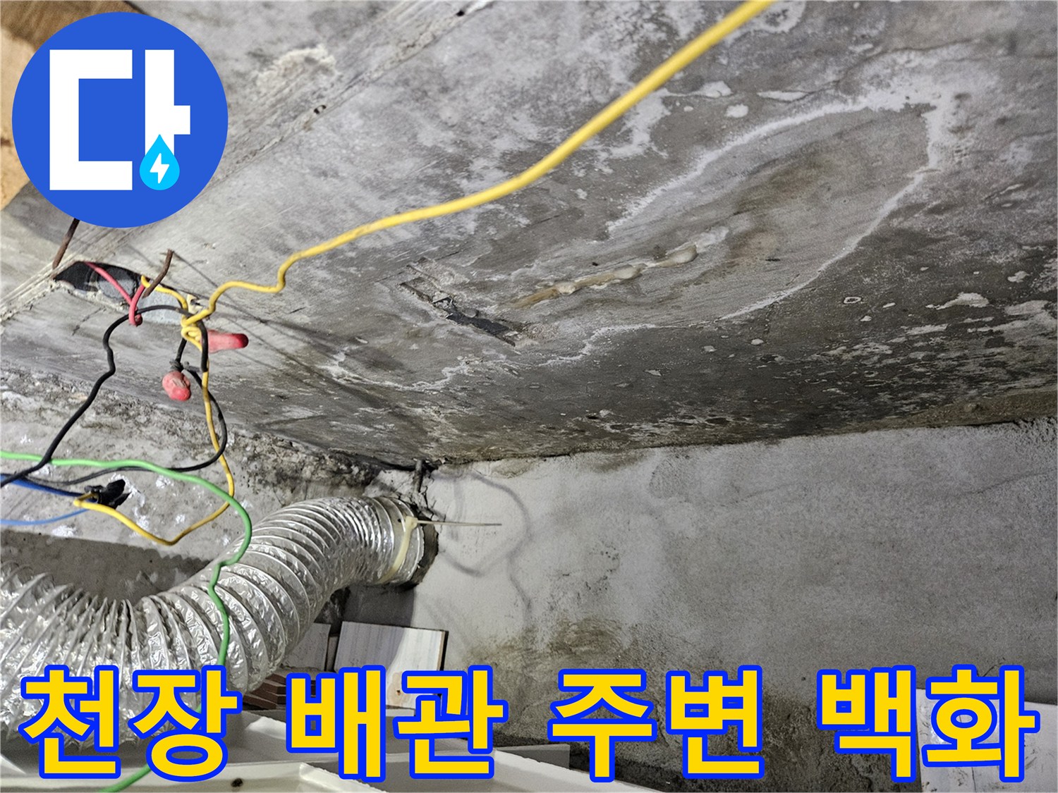 누수-흔적으로-하얗게-변한-천장-콘크리트-부위
