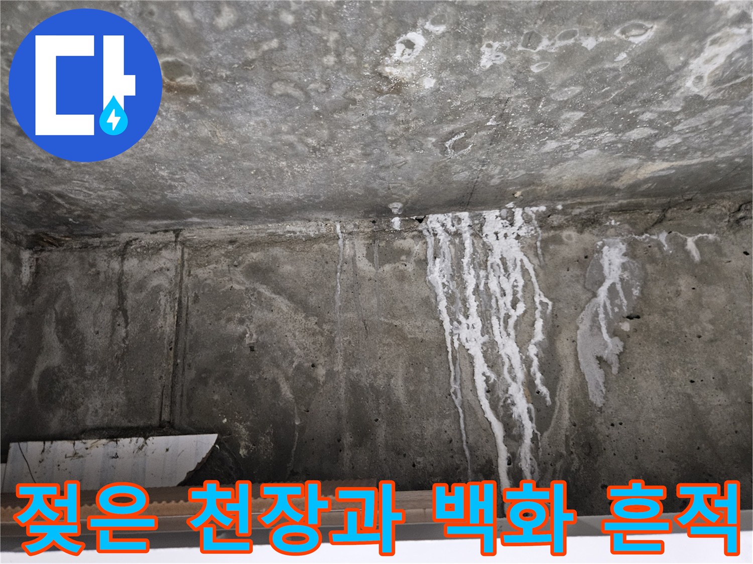 습기로 오염된 천장-하얀 가루가 내려앉은 모습