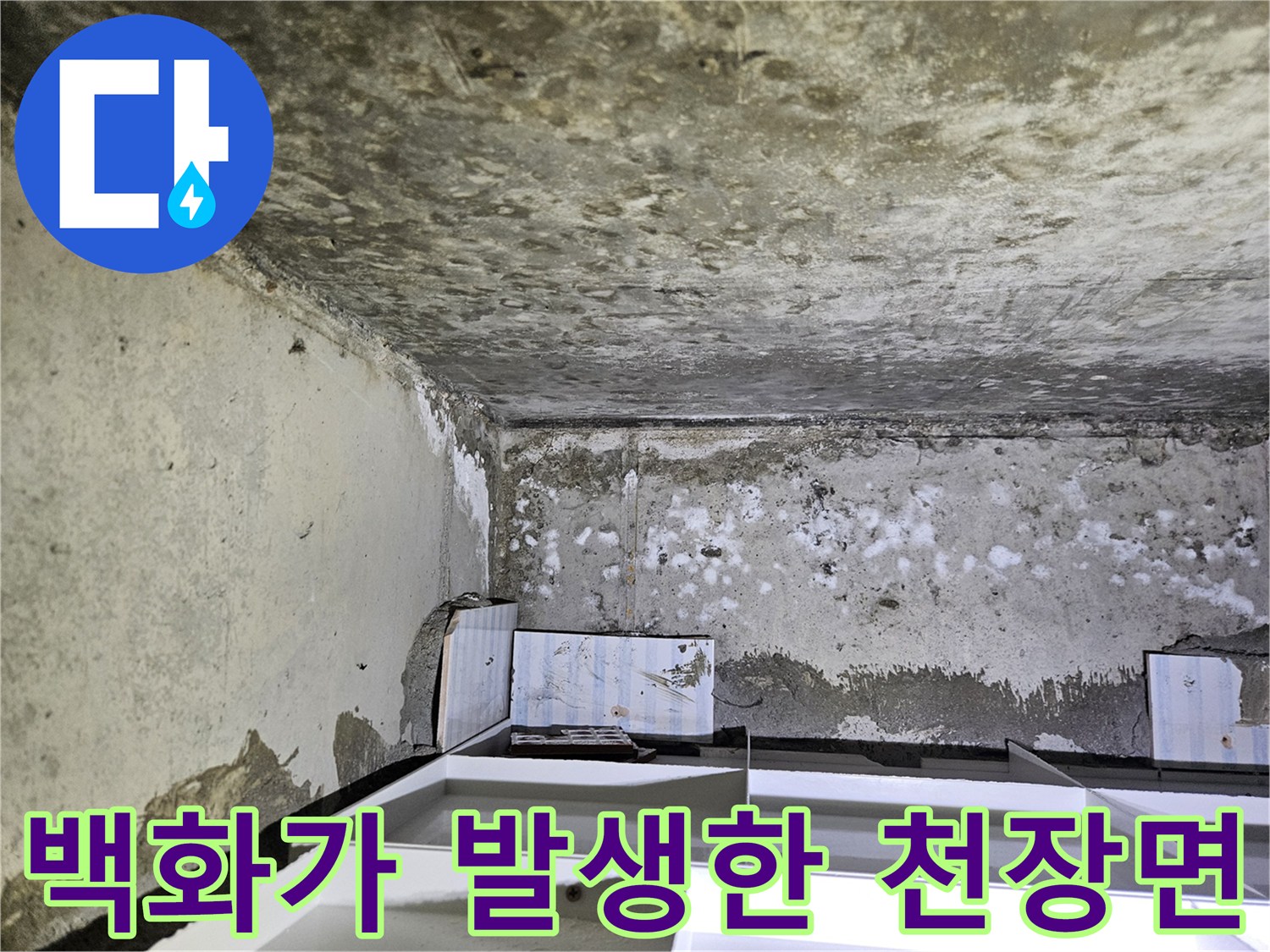 습기로-하얗게-변한-천장-콘크리트-표면