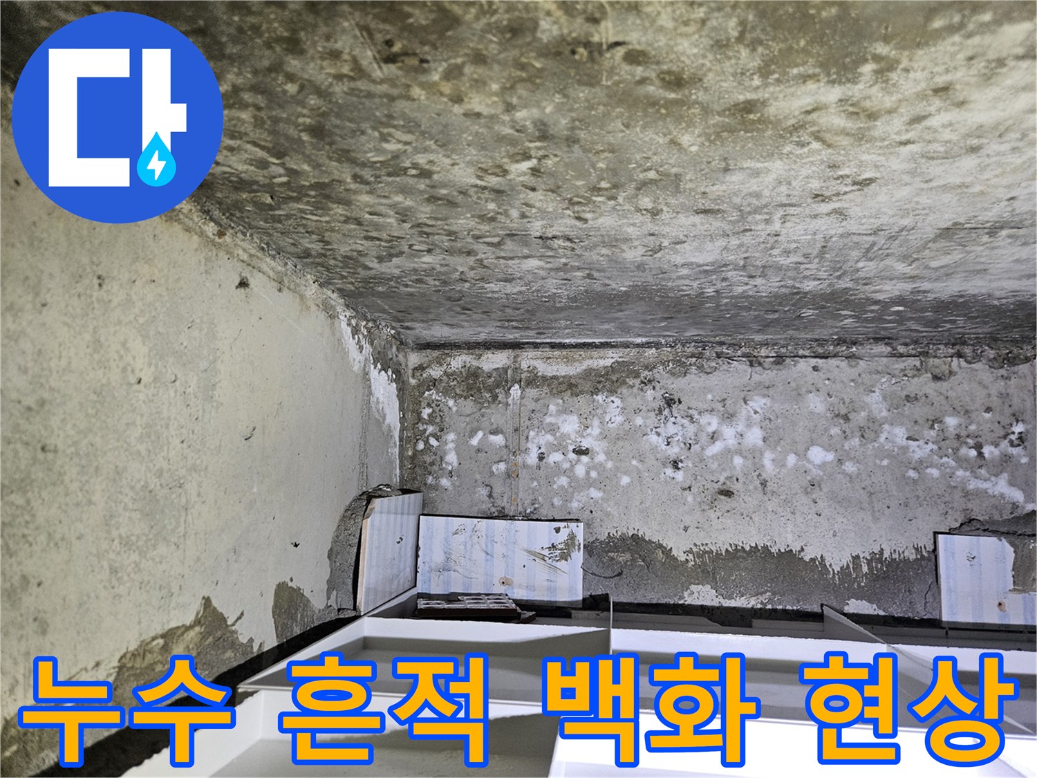 하얗게 일어난 천장-백화와 습기 얼룩