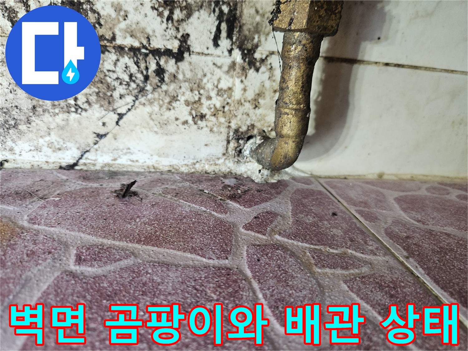 다용도실 벽체 - 배관 주변의 심한 곰팡이와 습기 침투 흔적