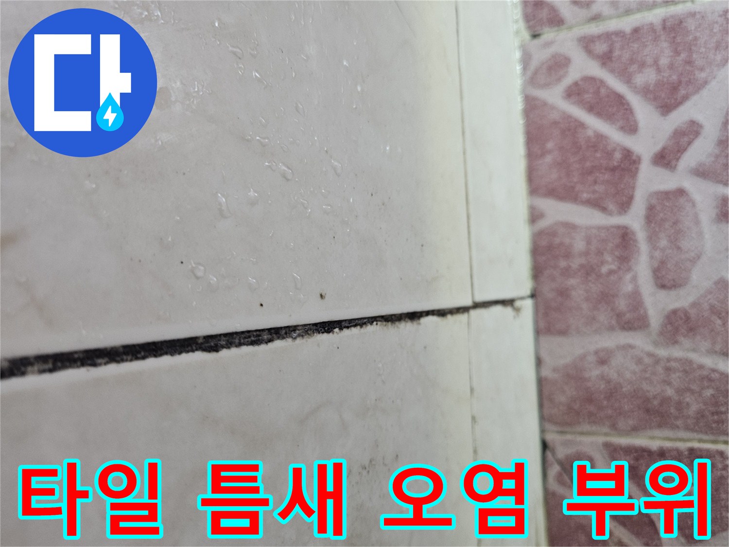 벽면 타일 줄눈 사이의 검은색 습기 흔적 관찰