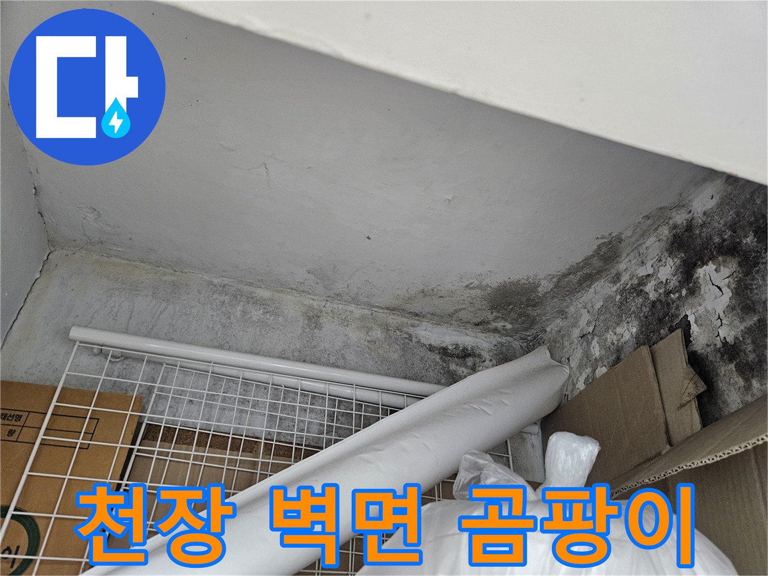 천장과 벽면 경계에 발생한 심한 곰팡이 오염