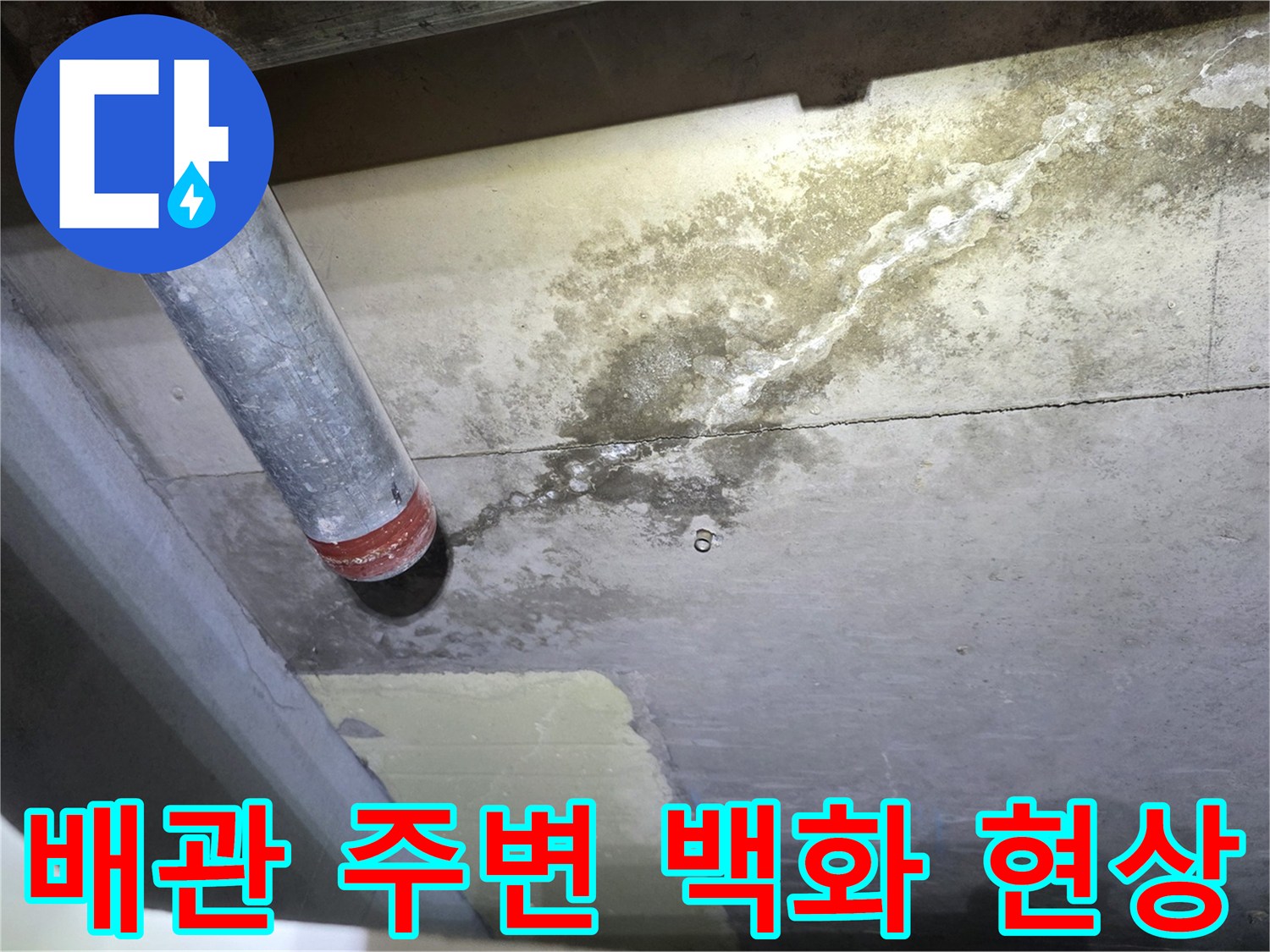 안양 비산동 현장-천장 배관 주변에 하얀 석회 가루가 맺힌 상태입니다