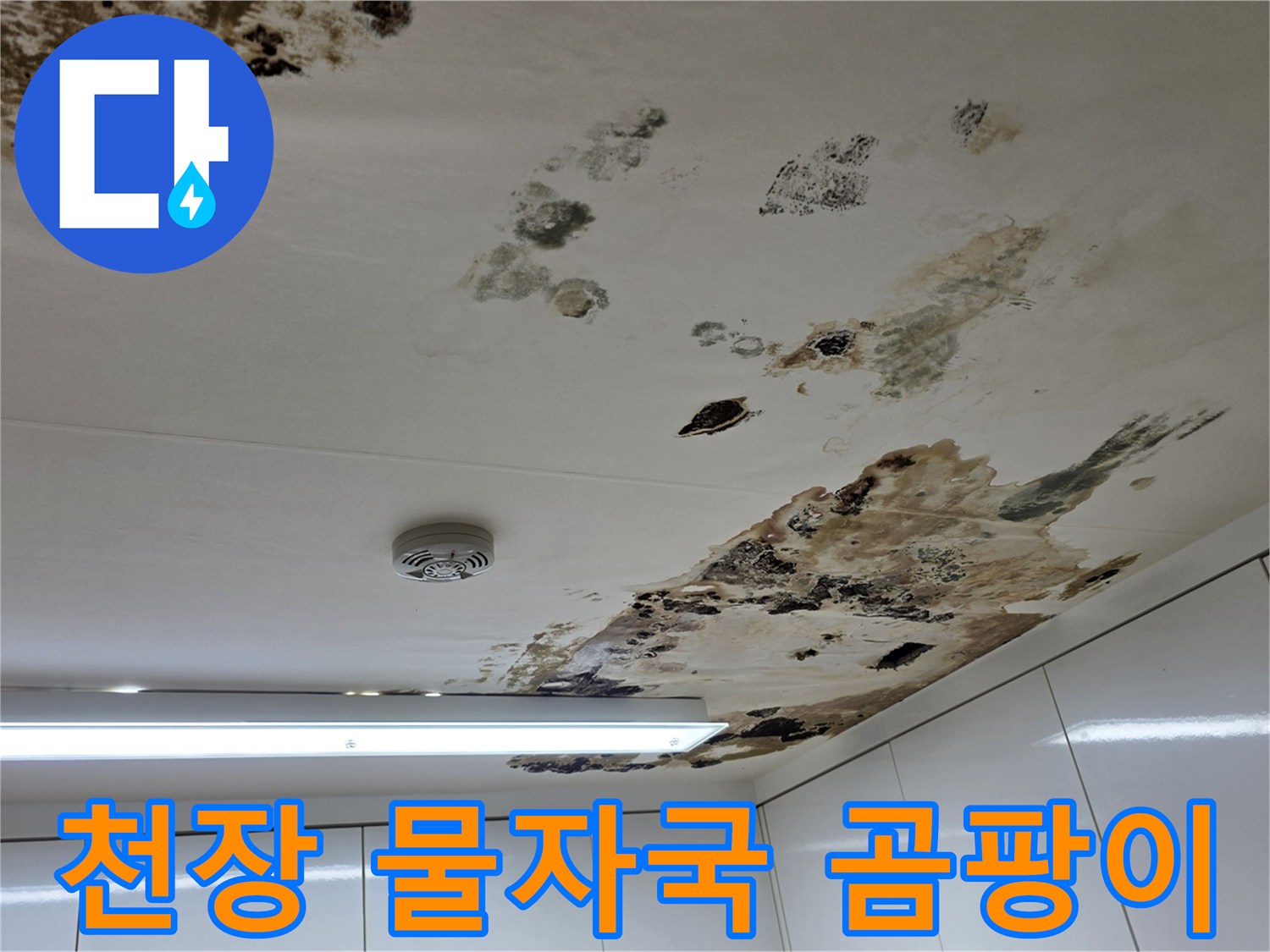 누수가-진행된-천장-벽지의-오염된-모습