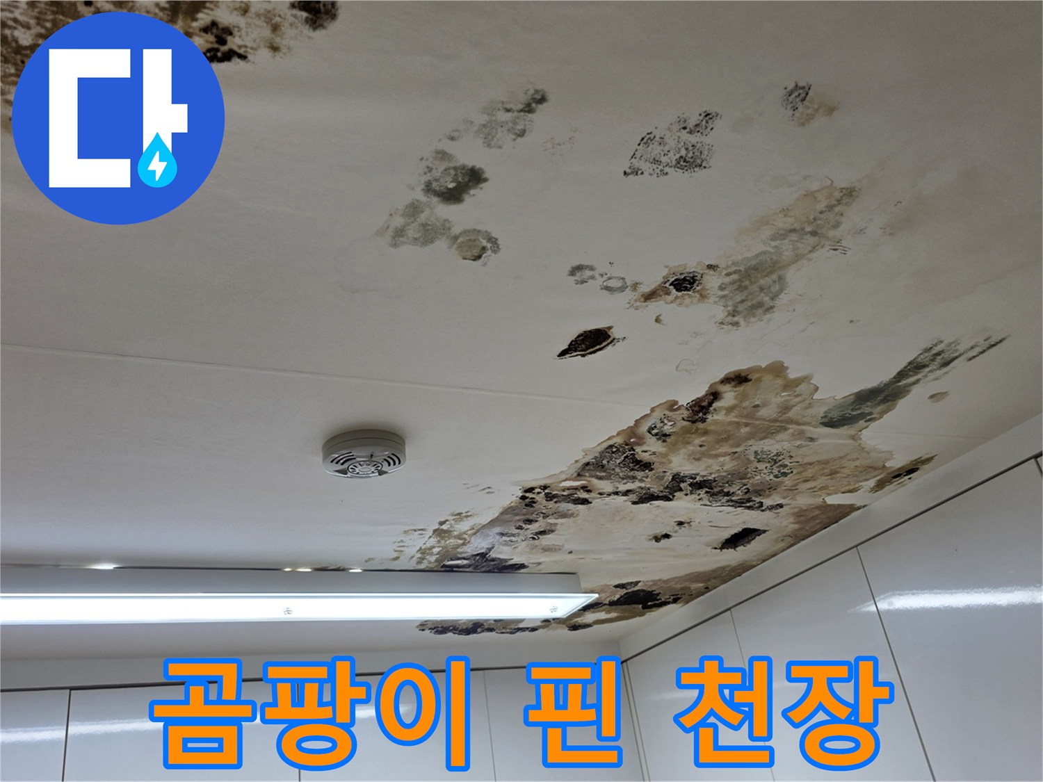심하게 오염된 천장 마감재와 물샘 흔적