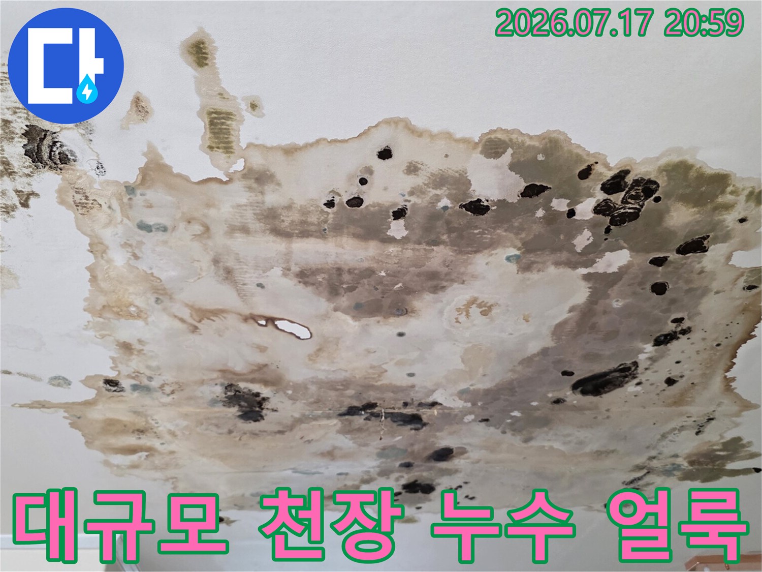 윗집 배관 결함으로 인해 아랫세대 천장에 발생한 대형 오염 부위