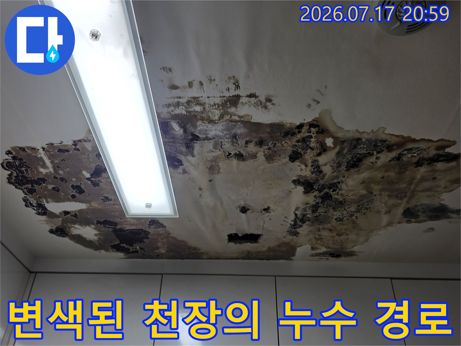 천장 소재에 누수로 인한 얼룩과 곰팡이가 번진 현상