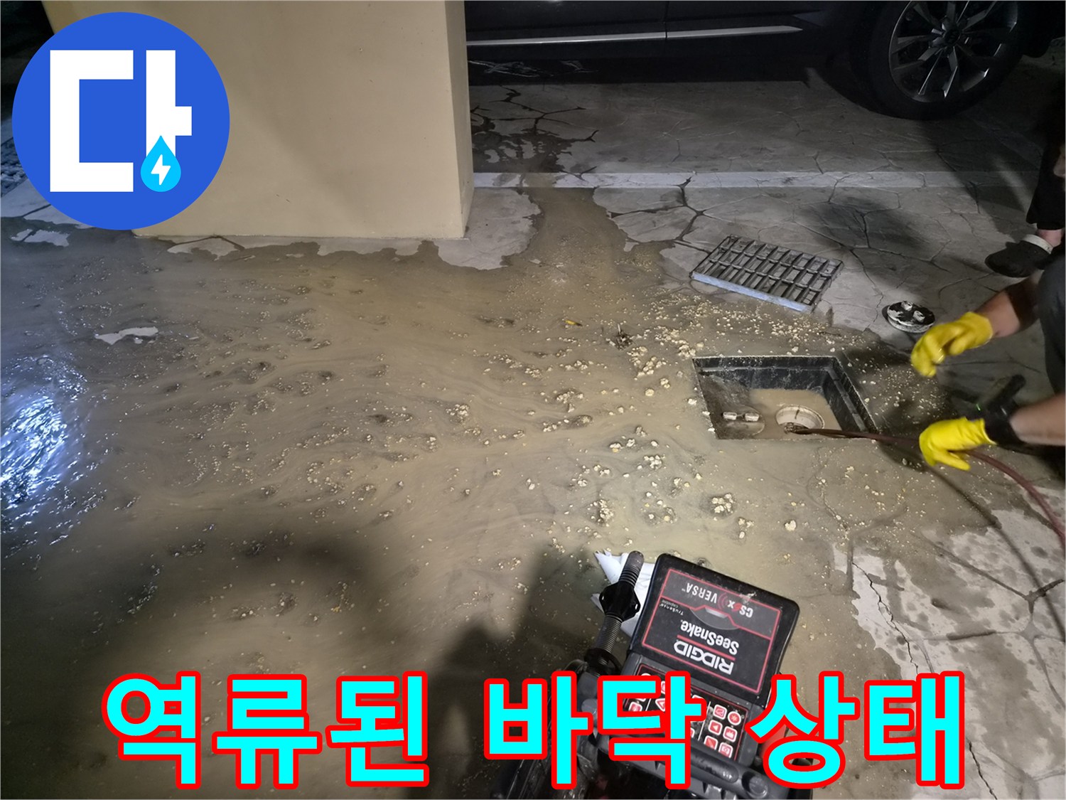 배수구 주변에 - 역류하여 고여 있는 오수와 이물질