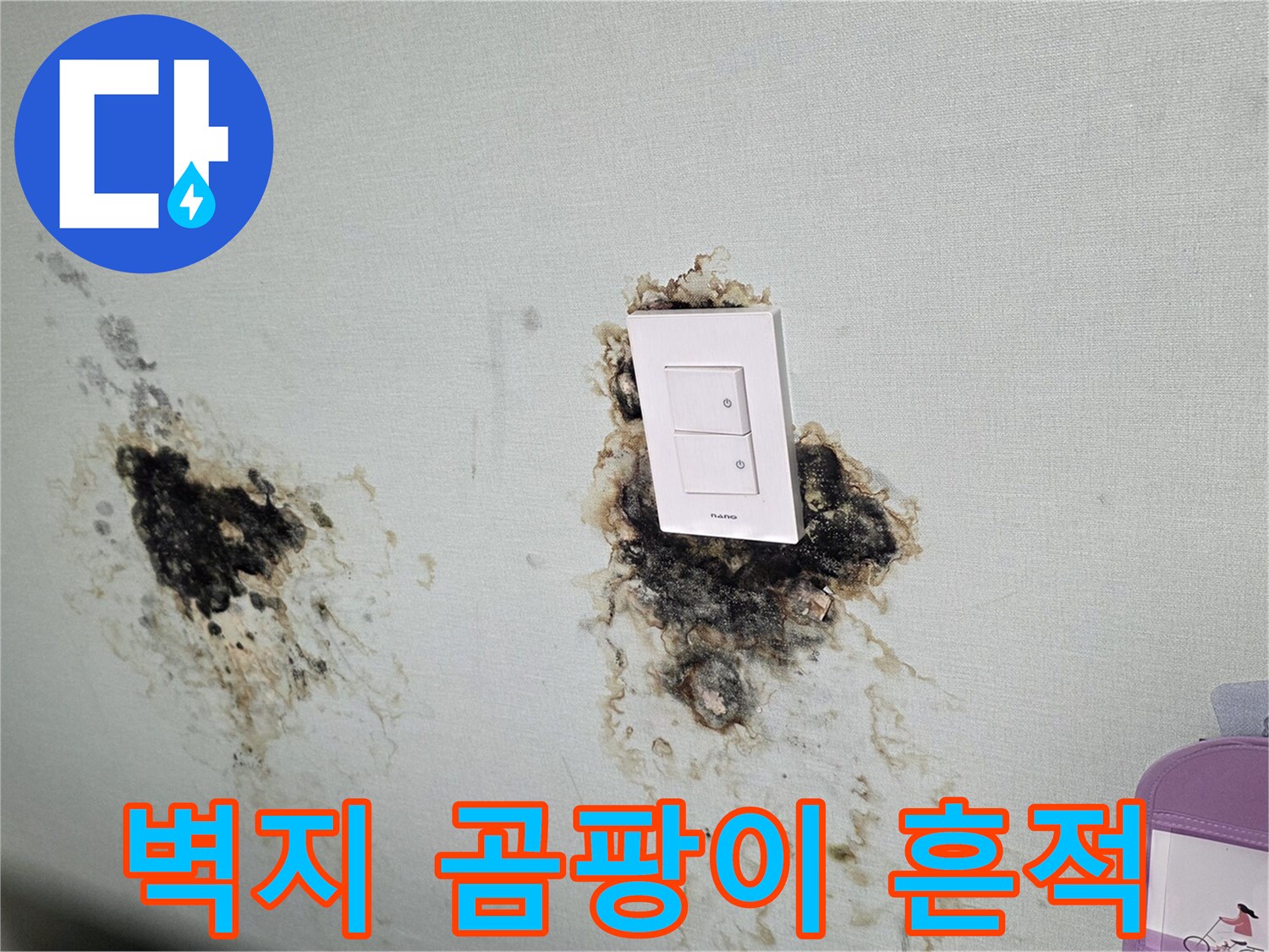 스위치 주변-심한 곰팡이와 물자국이 남은 벽면 상태