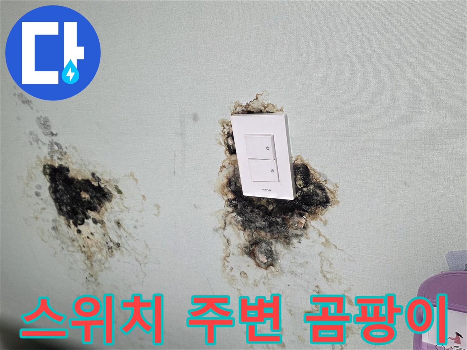 전기 스위치 옆으로 번진 검은색 곰팡이와 얼룩