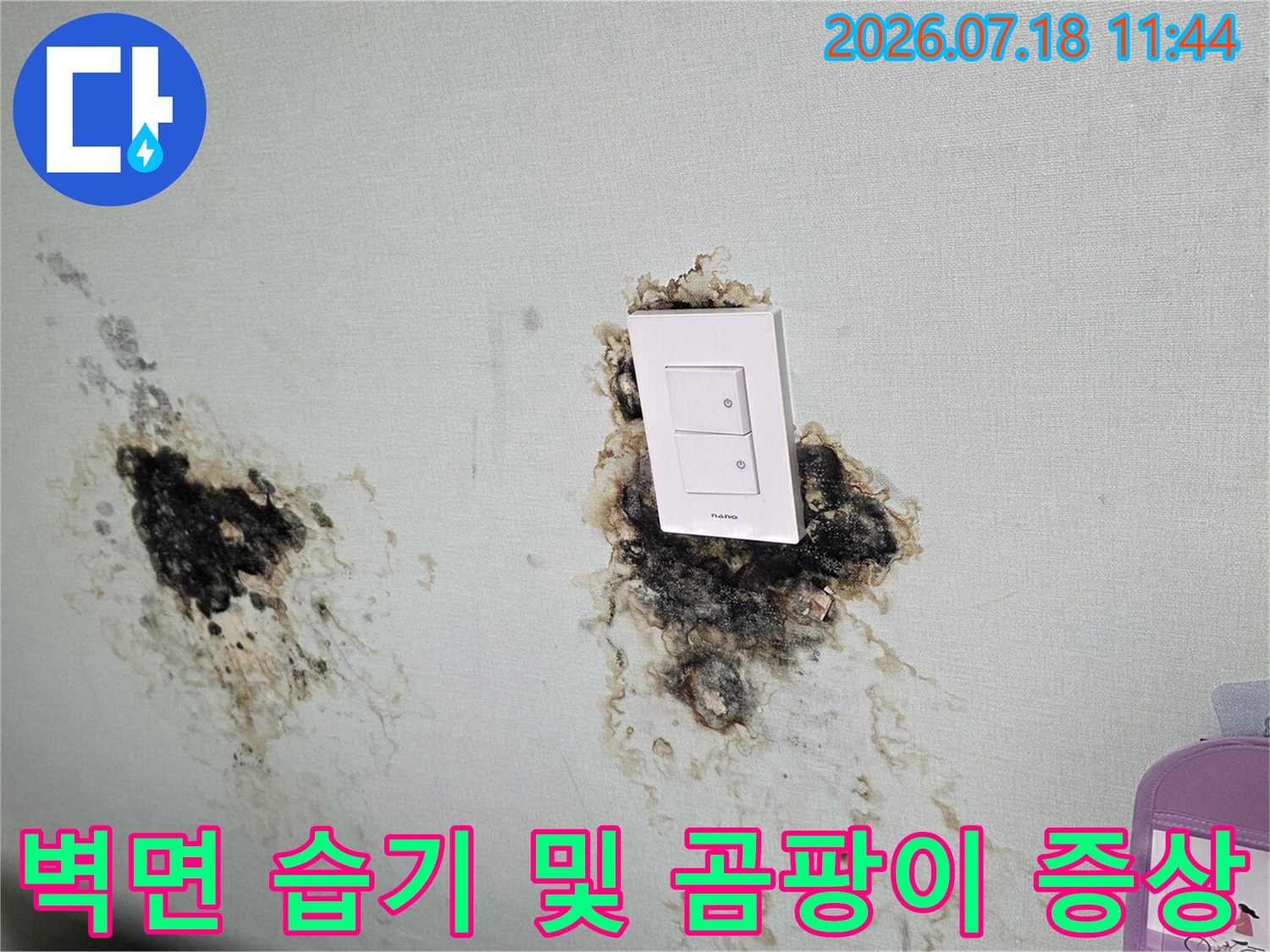 천장 마감재 표면에 누수로 인한 변색과 곰팡이가 확산된 모습