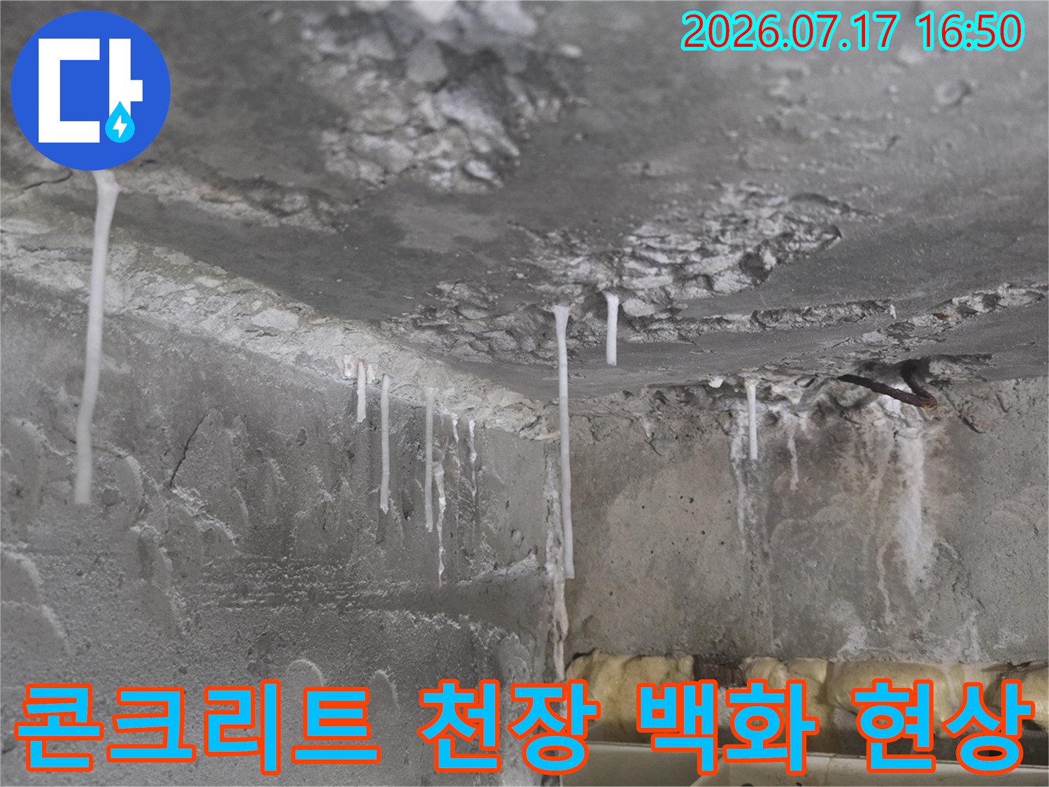 하얀색 석회질 물질이 콘크리트 천장에서 아래로 늘어져 굳어 있는 사진