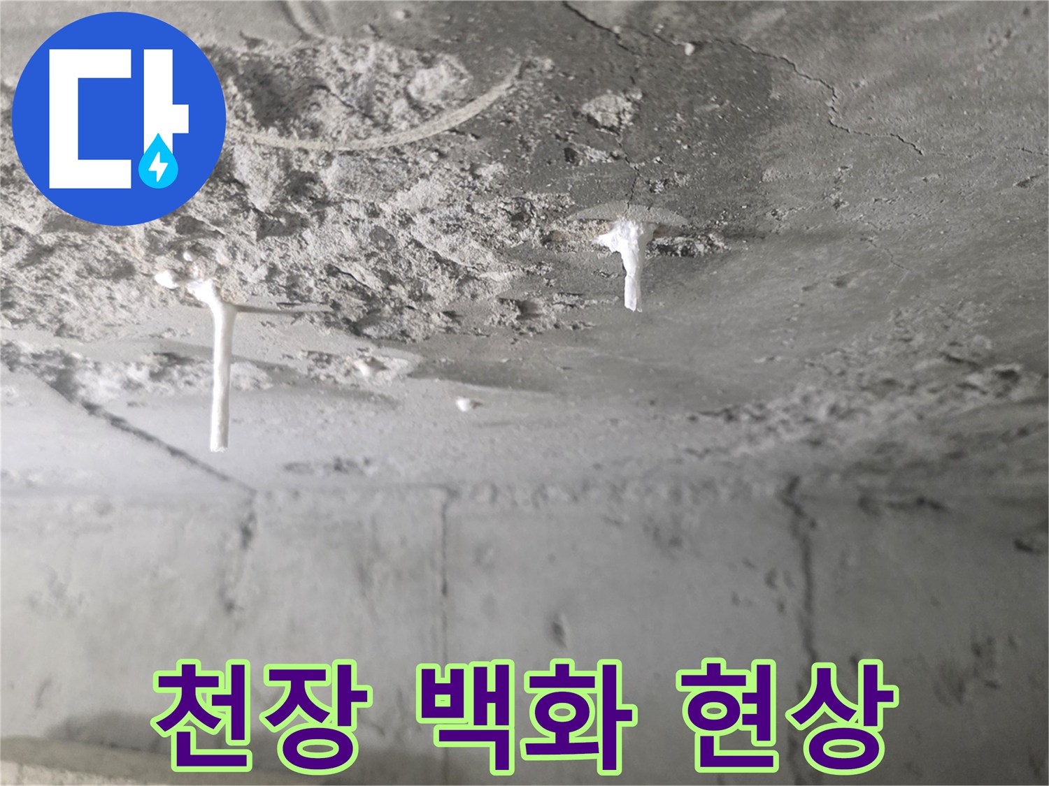 화장실-천장-콘크리트-슬라브에-발생한-하얀-백화-현상