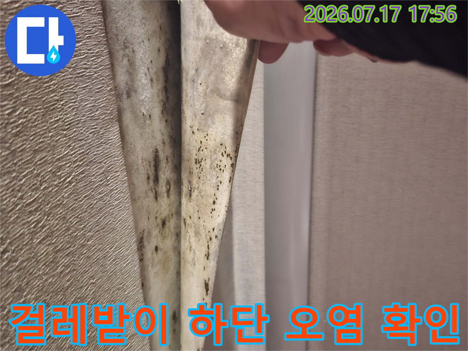 걸레받이 마감재를 들어 올려 내부에 발생한 검은 곰팡이를 촬영한 사진