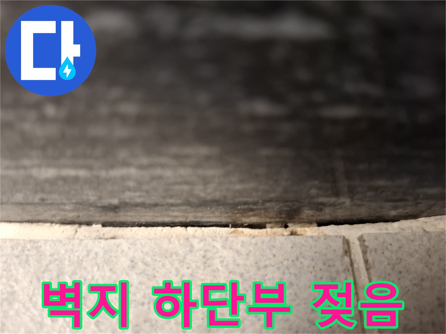 벽면-하단-경계부-곰팡이-및-습기