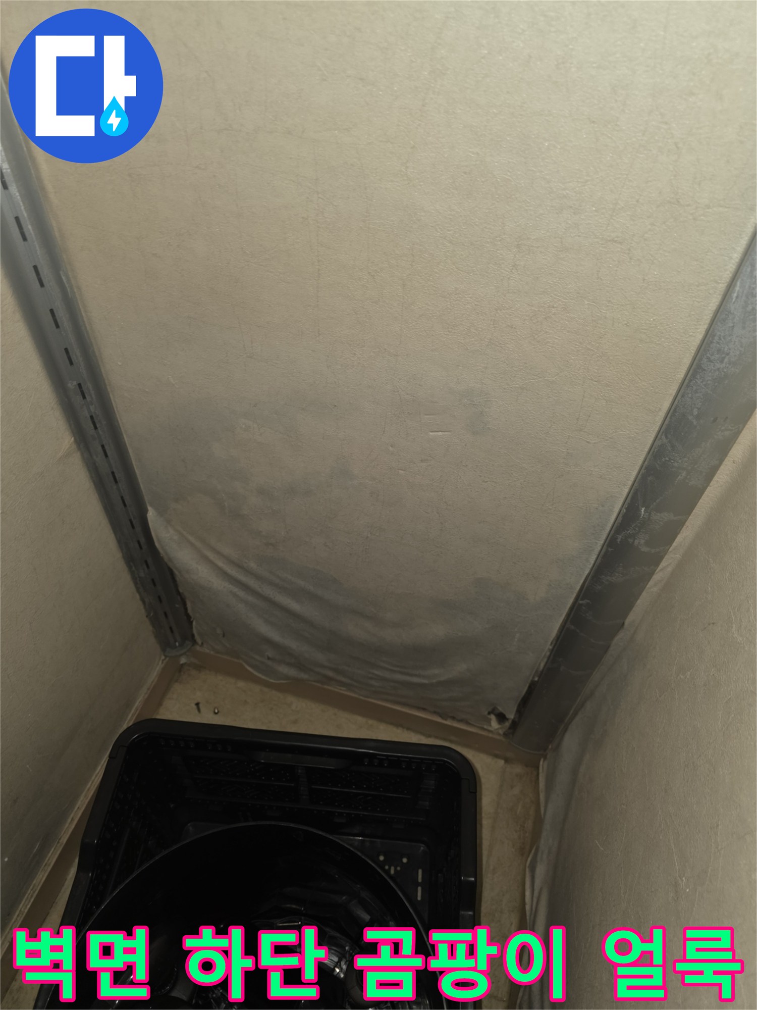용인 수지구-곰팡이가 번진 벽면 하단부의 모습
