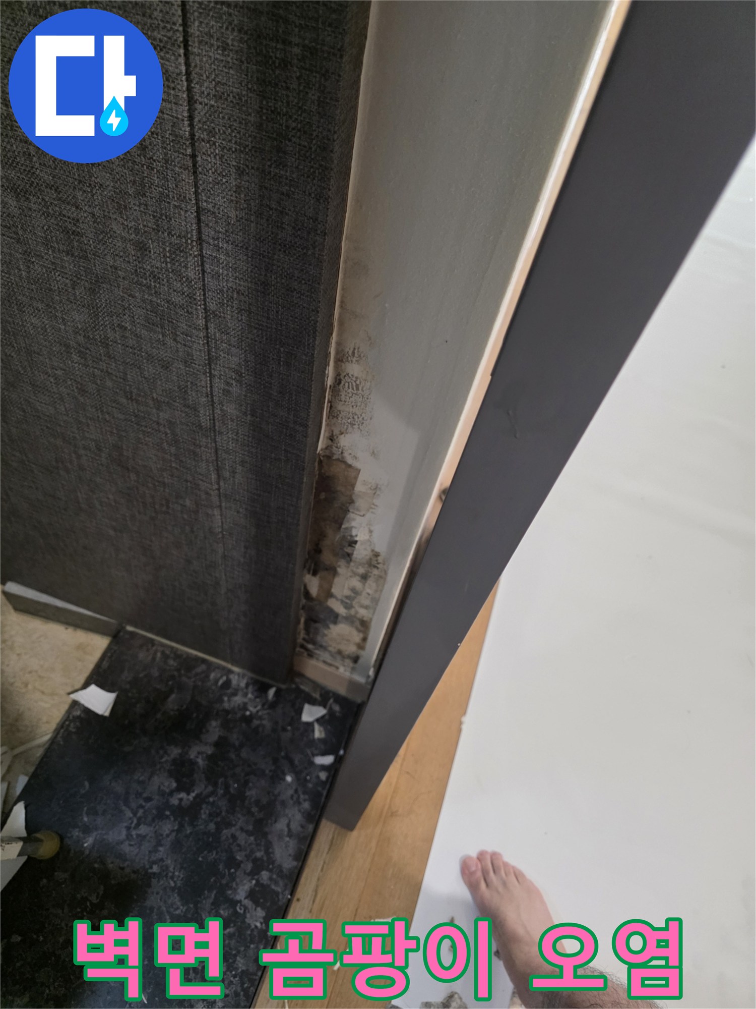 훼손된 벽지-누수로 인한 내부 곰팡이 상태