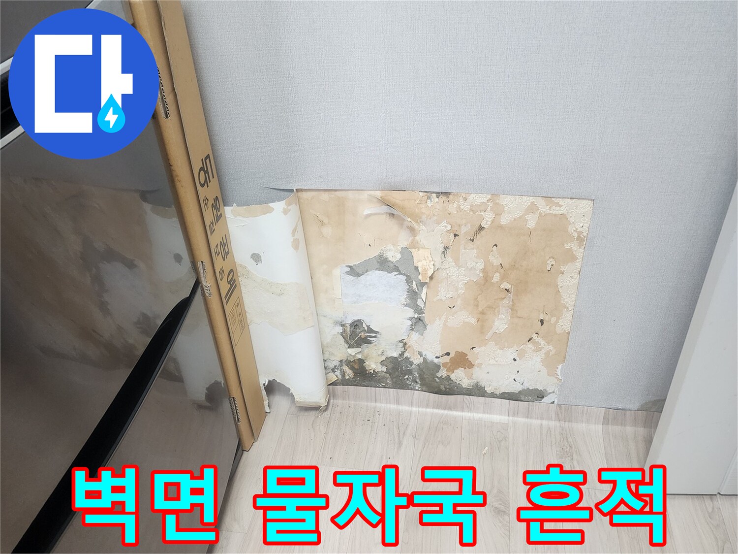 양천구-벽면-누수-발생-상태-사진