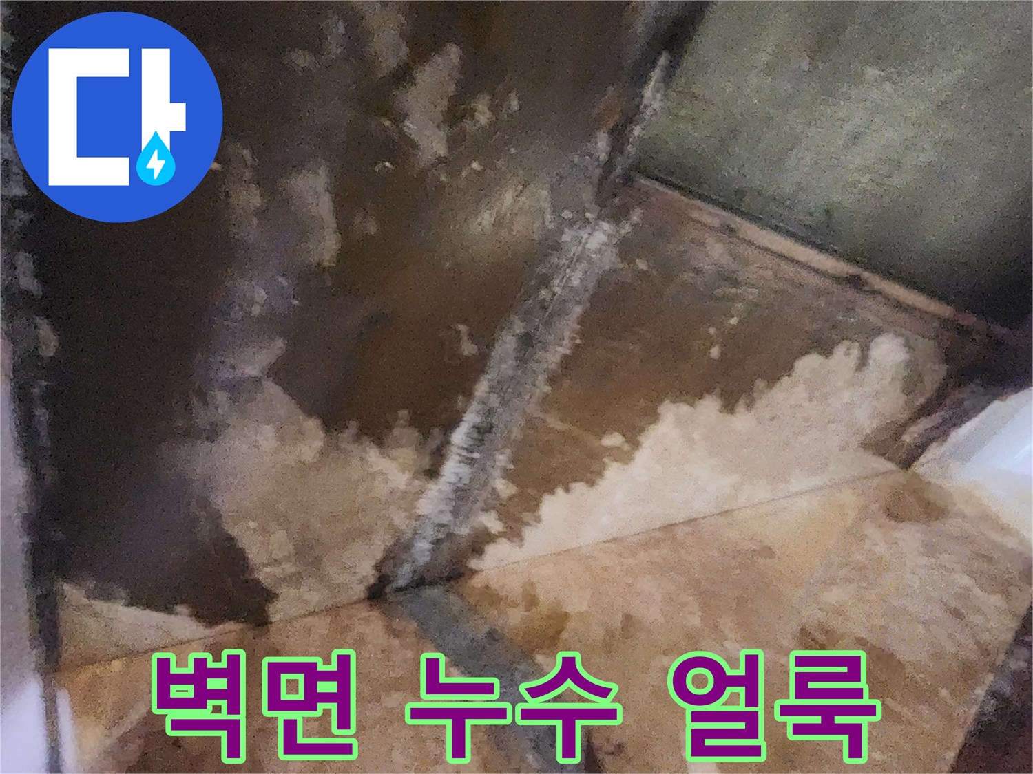 양천구 현장-벽면과 천장 경계에 발생한 심한 물자국과 습기 흔적