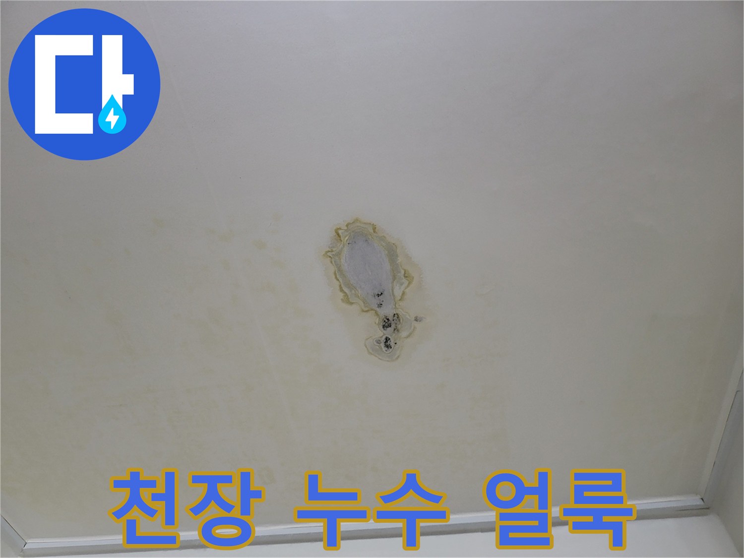 천장에 발생한 넓은 물자국과 페인트 벗겨짐 현상
