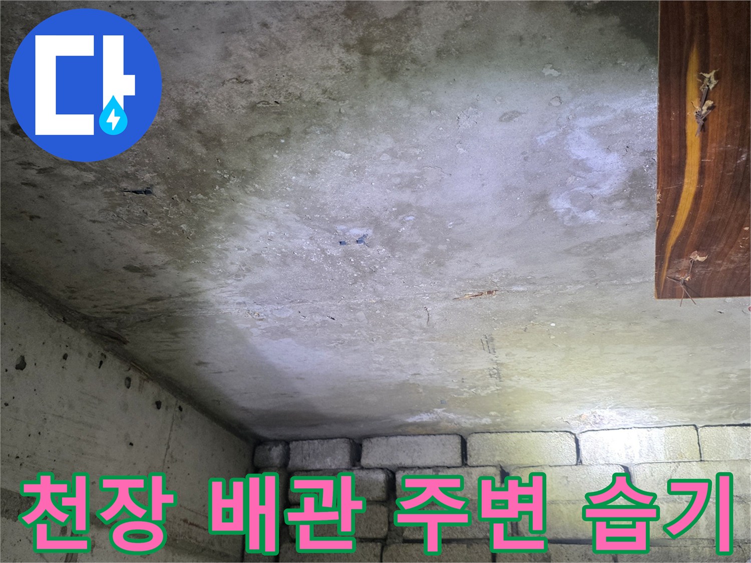 물샘으로 인해-젖어 있는 천장 구조체 표면
