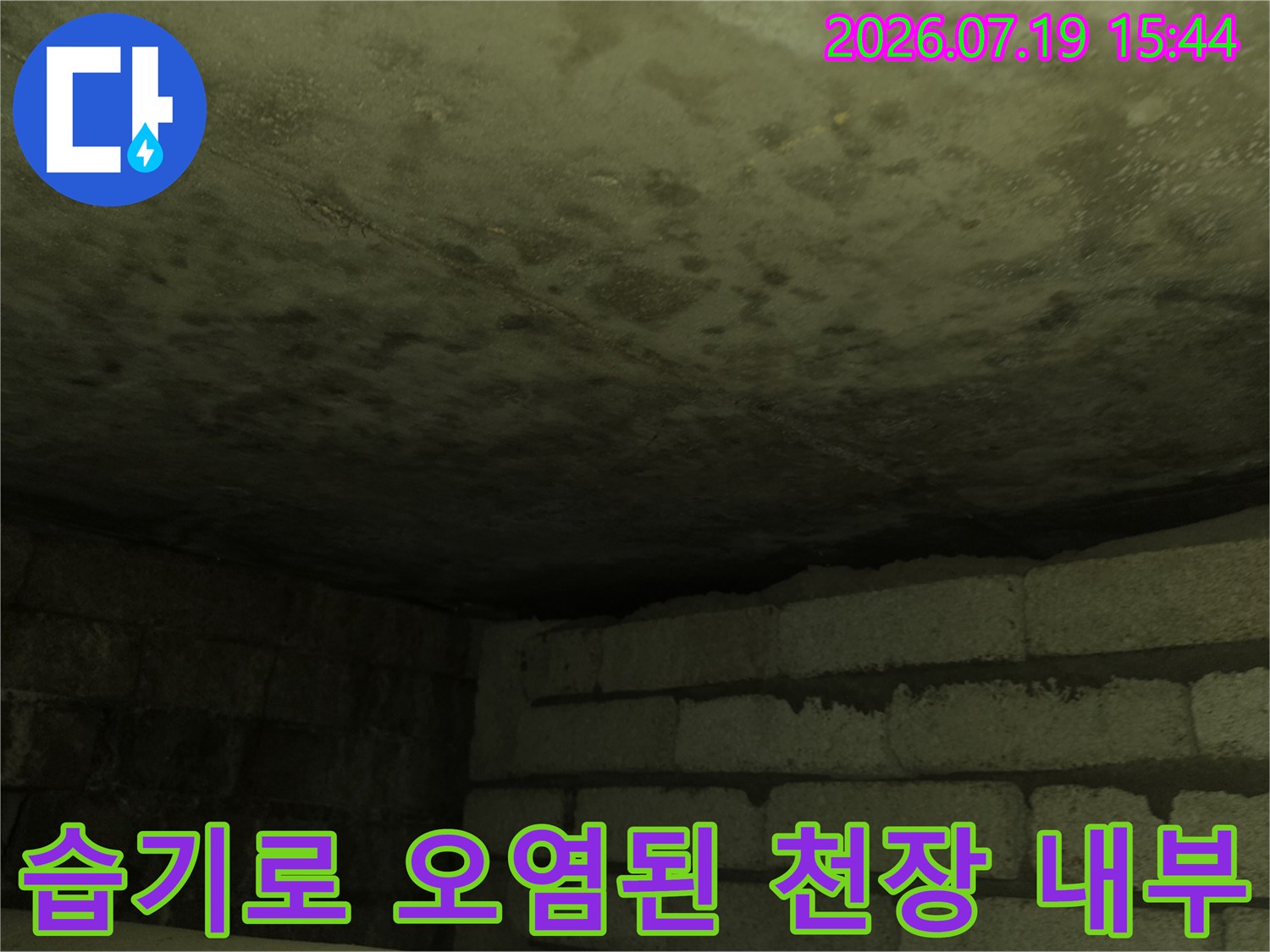 천장-내부-콘크리트-면이-누수로-인해-어둡게-변색되고-곰팡이가-생긴-현장-사진