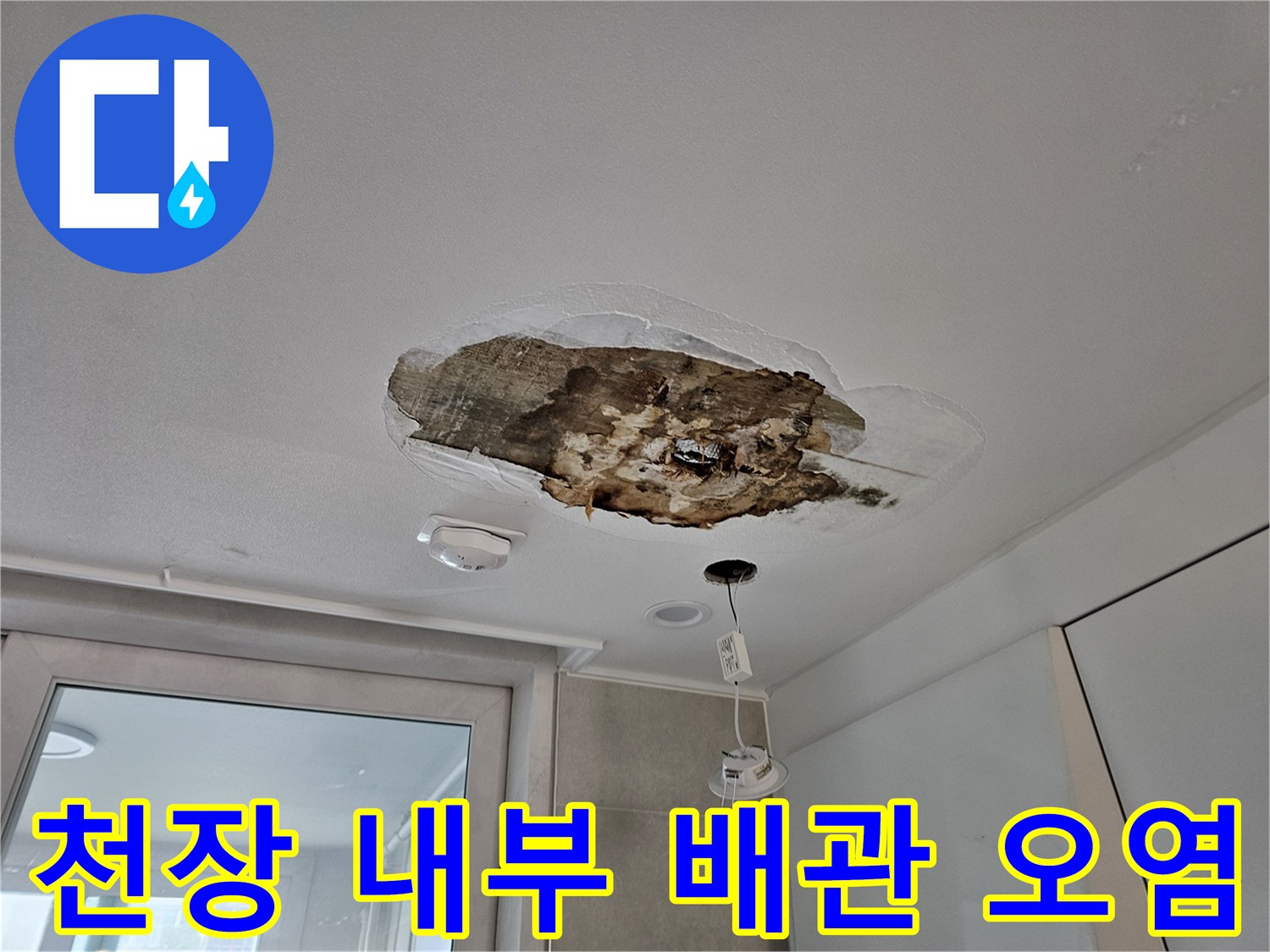 천장 절개 후 드러난 배수관 주변의 물샘 흔적과 오염