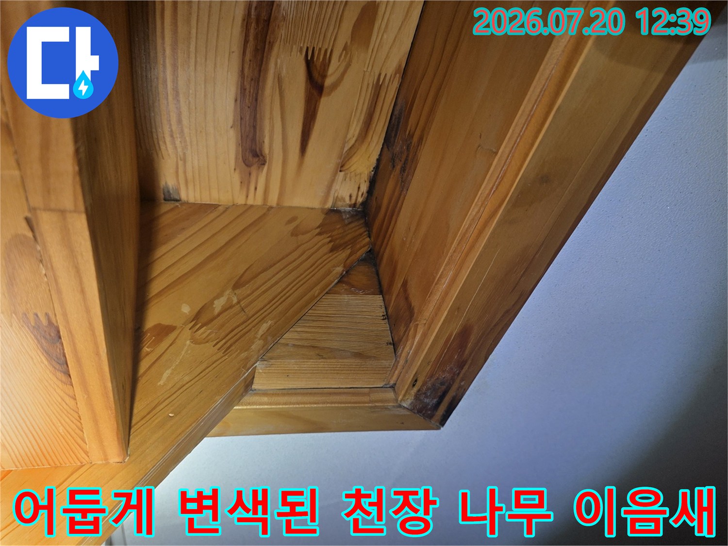 나무 천장의 연결 부위가 습기를 머금어-짙은 색으로 변한 누수 지점 사진