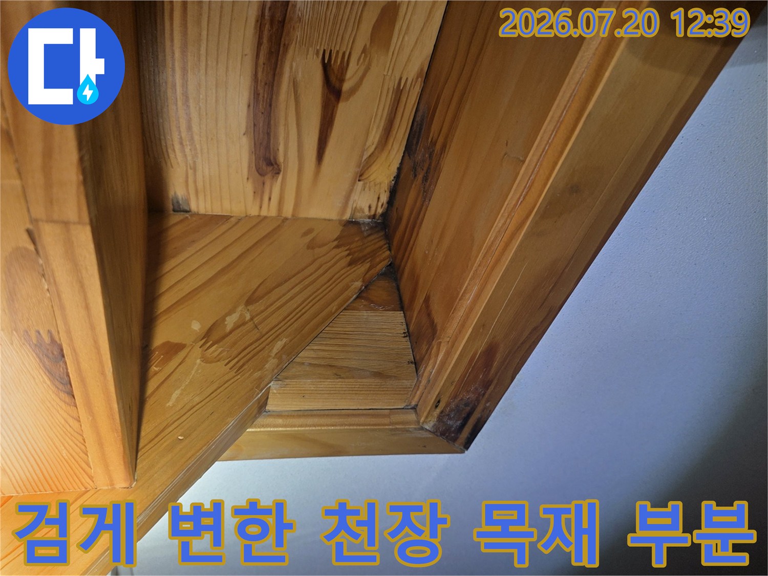 천장 나무 마감재의 구석진 곳에 물기가 스며들어 어둡게 변색된 모습